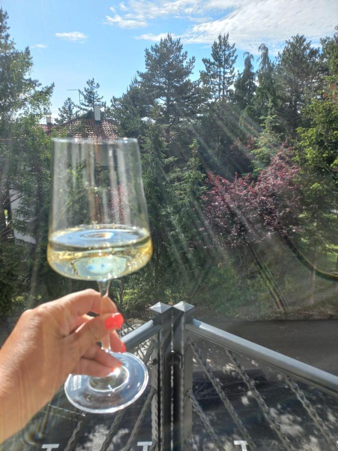 Zlatibor Apartman Luxury & Spa Dijana Esterno foto