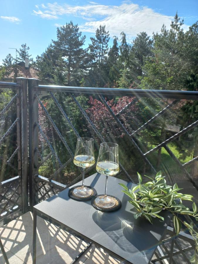 Zlatibor Apartman Luxury & Spa Dijana Esterno foto